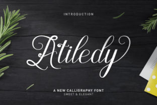 Atiledy Script: The Font That Elevates Your Brand