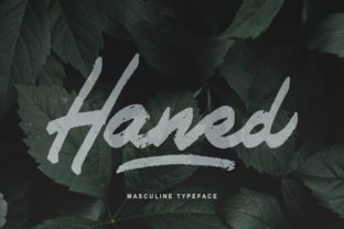 Haned: A Script Font for Campaign Creativity