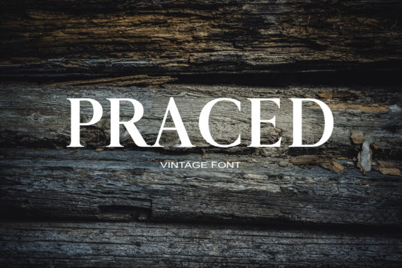 Praced: The Font That Boosted My Bakery’s Brand