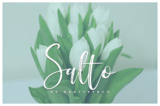 Salto Script Font for Editorial Design and Content Creation