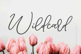 Wildcard: A Modern Script Font for Editorial Elegance